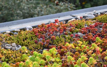 the cost of Matchborough green roof installation