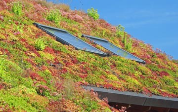 Matchborough living roof systems