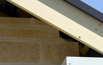 soffit repair Matchborough