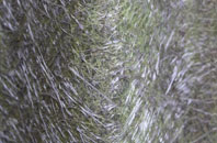 Matchborough fibreglass roof work